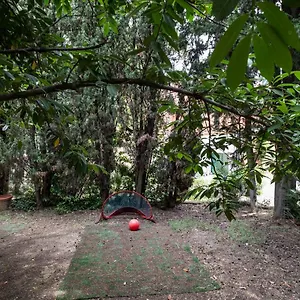 Vatican Quiet With Garden & Parking Appartement Rome